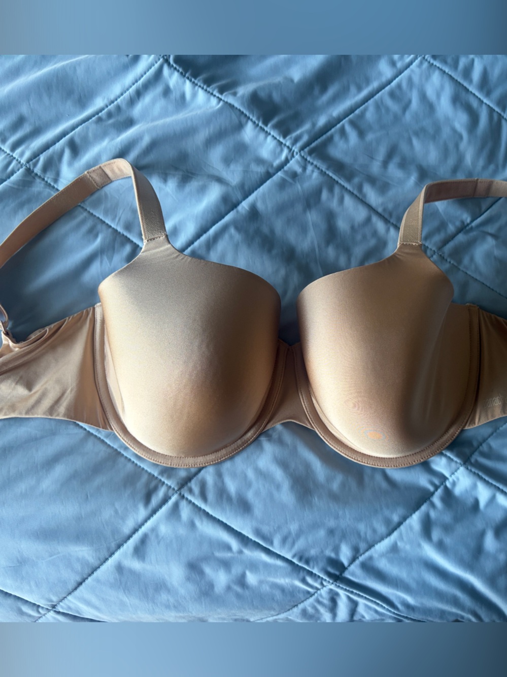 Panache Elan Moulded Seamless T-Shirt Bra